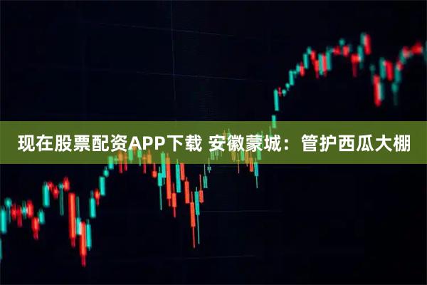 现在股票配资APP下载 安徽蒙城：管护西瓜大棚