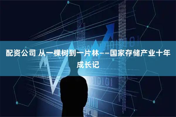 配资公司 从一棵树到一片林——国家存储产业十年成长记