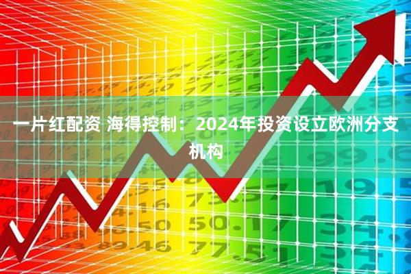 一片红配资 海得控制：2024年投资设立欧洲分支机构
