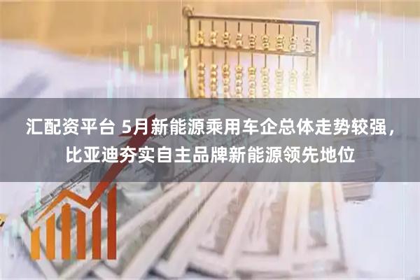 汇配资平台 5月新能源乘用车企总体走势较强，比亚迪夯实自主品牌新能源领先地位