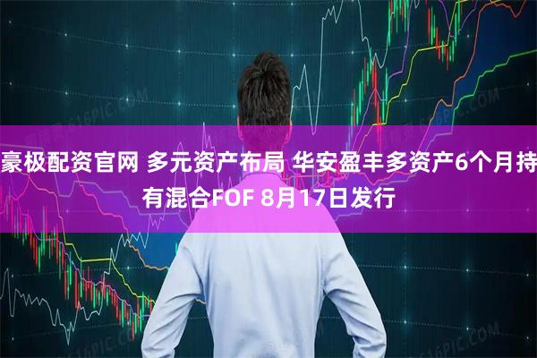 豪极配资官网 多元资产布局 华安盈丰多资产6个月持有混合FOF 8月17日发行